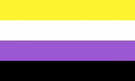 Non Binary flag